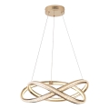 Lampadario LED a sospensione con filo LED/38W/230V 3000K 50x120 cm