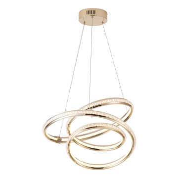 Lampadario LED a sospensione con filo LED/38W/230V 3000K 50x50 cm