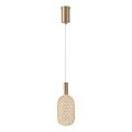 Lampadario LED a sospensione con filo LED/6,3W/230V 3000K oro diametro 20 cm