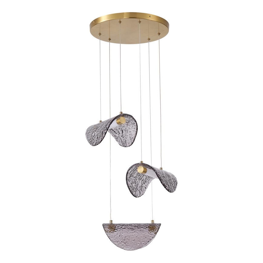 Lampadario LED a sospensione con filo LED/6W/230V 3000K