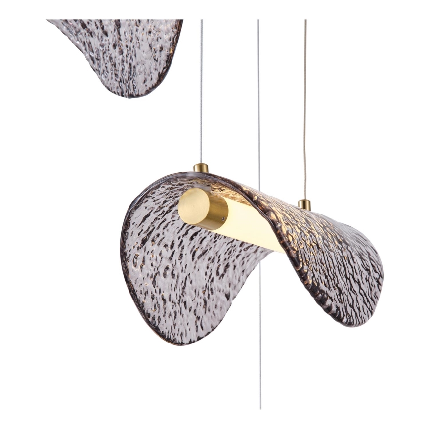 Lampadario LED a sospensione con filo LED/6W/230V 3000K