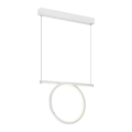 Lampadario LED a sospensione con filo LOOP LED/20W/230V bianco