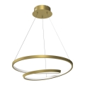 Lampadario LED a sospensione con filo LUCERO LED/48W/230V oro