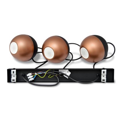 Lampadario LED a sospensione con filo MIDWAY 3xGU10/4,8W/230V nero/rame