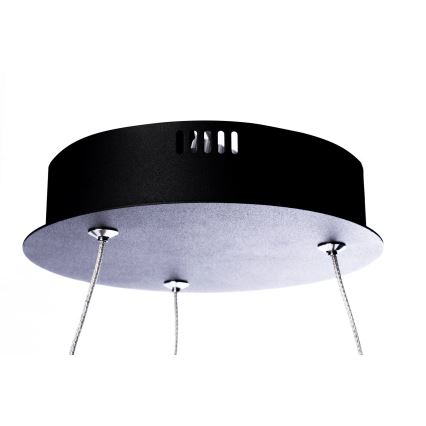 Lampadario LED a sospensione con filo ORION 1xLED/22W/230V