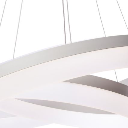Lampadario LED a sospensione con filo RING con telecomando LED/60W/230V