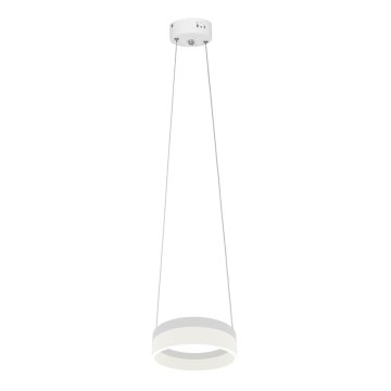 Lampadario LED a sospensione con filo RING LED/12W/230V