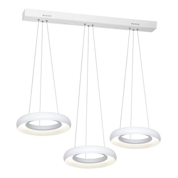 Lampadario LED a sospensione con filo RONDO 3xLED/12W/230V