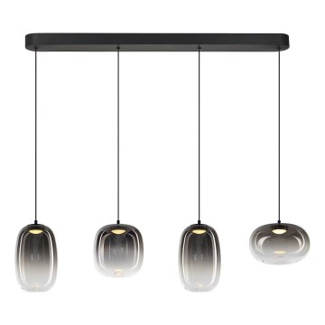 Lampadario LED a sospensione con filo VASO LED/15W/230V nero/fumé