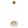 Lampadario LED a sospensione con filo VASO LED/4W/230V diametro 18 cm oro/fumé