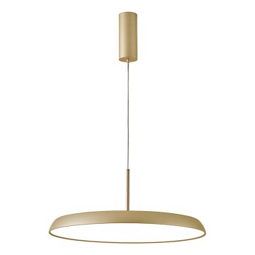 Lampadario LED a sospensione su cavo ART LED/41W/230V, colore oro