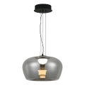 Lampadario LED a sospensione su cavo NADIA LED/20W/230V fumé/nero