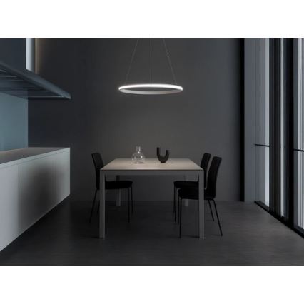 Lampadario dimmerabile a cavo LED 55W/230V 3000-6500K Ø 60 cm + telecomando