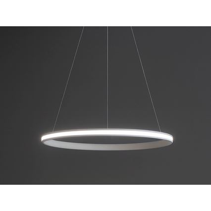 Lampadario dimmerabile a cavo LED 55W/230V 3000-6500K Ø 60 cm + telecomando
