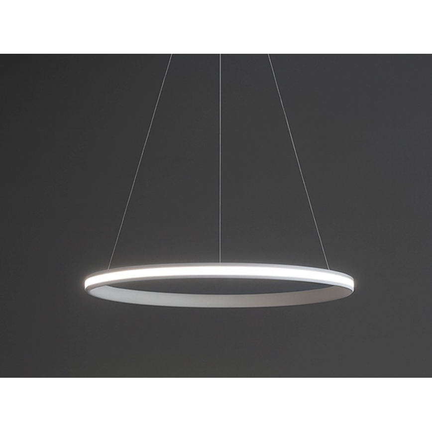Lampadario dimmerabile a cavo LED 55W/230V 3000-6500K Ø 60 cm + telecomando