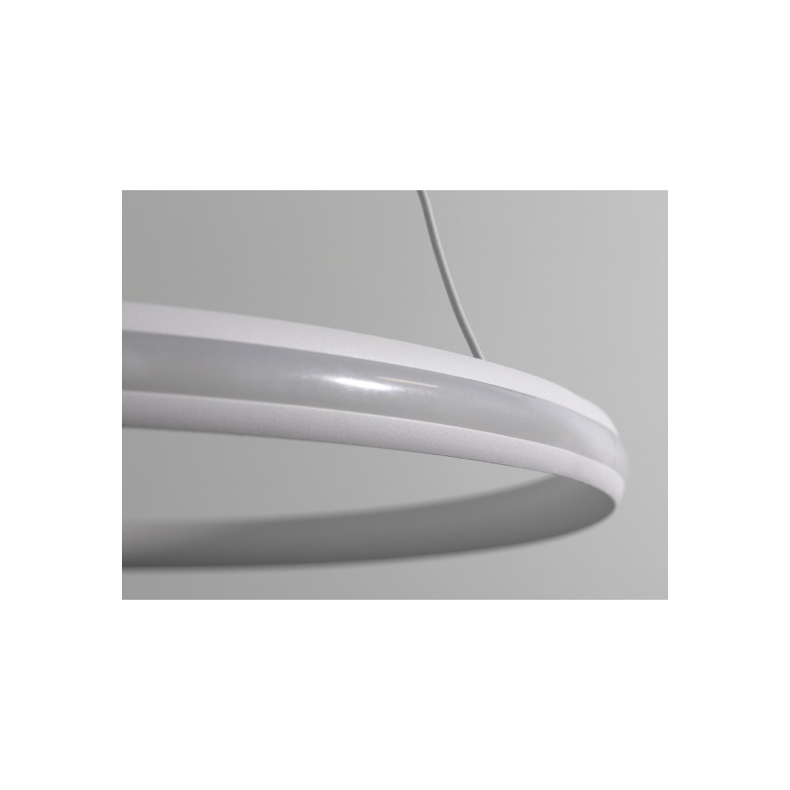 Lampadario dimmerabile a cavo LED 55W/230V 3000-6500K Ø 60 cm + telecomando