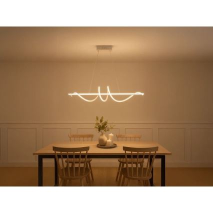 Lampadario LED dimmerabile a sospensione con cavo LED/50W/230V 3000-6500K 100 cm + telecomando