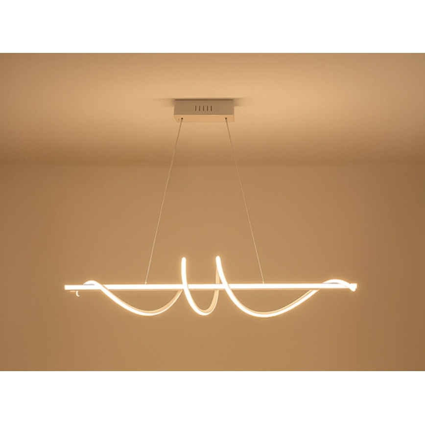 Lampadario LED dimmerabile a sospensione con cavo LED/50W/230V 3000-6500K 100 cm + telecomando