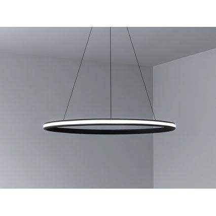 Lampadario LED dimmerabile su cavo LED/55W/230V 3000-6500K Ø 60 cm + telecomando