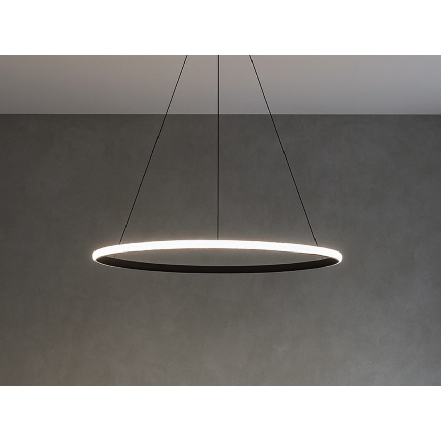 Lampadario LED dimmerabile su cavo LED/32W/230V 3000-6500K Ø 60 cm + telecomando