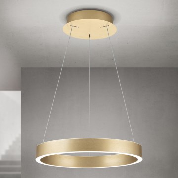 lampadario LED dimmerabile su cavo KOLK LED/40W/230V 2700/3000/4000K diam. 40 cm oro