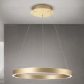 Lampadario LED dimmerabile su cavo KOLK LED/60W/230V 2700/3000/4000K diam. 60 cm dorato