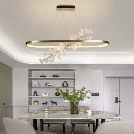 Lampadario dimmerabile a LED su cavo LED/65W/230V 3000-6500K + telecomando