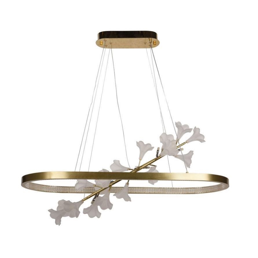 Lampadario dimmerabile a LED su cavo LED/65W/230V 3000-6500K + telecomando