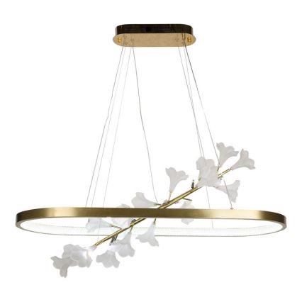 Lampadario dimmerabile a LED su cavo LED/65W/230V 3000-6500K + telecomando