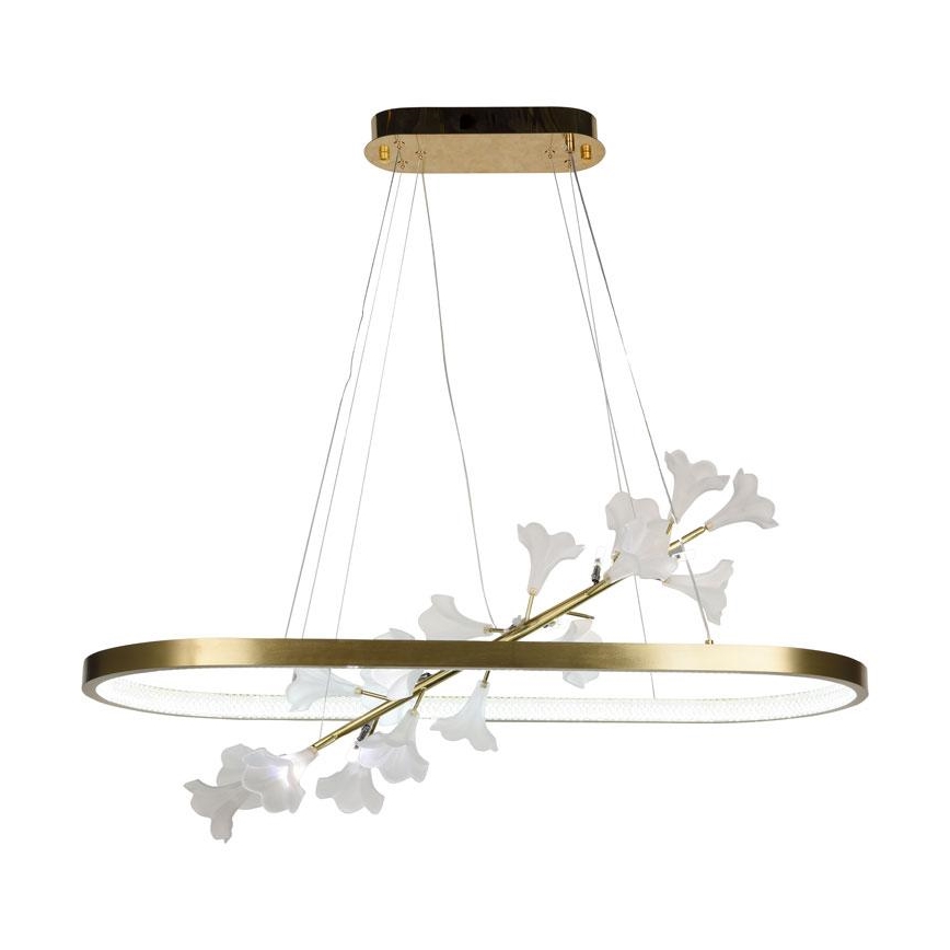 Lampadario dimmerabile a LED su cavo LED/65W/230V 3000-6500K + telecomando