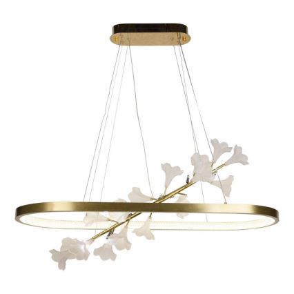 Lampadario dimmerabile a LED su cavo LED/65W/230V 3000-6500K + telecomando