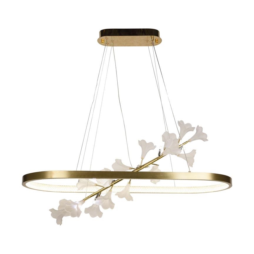 Lampadario dimmerabile a LED su cavo LED/65W/230V 3000-6500K + telecomando