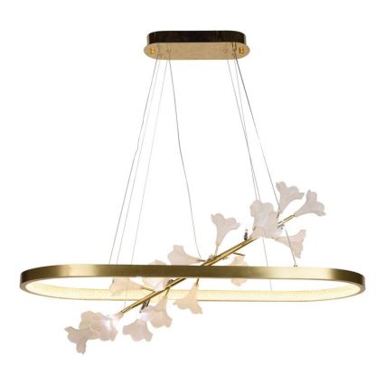 Lampadario dimmerabile a LED su cavo LED/65W/230V 3000-6500K + telecomando