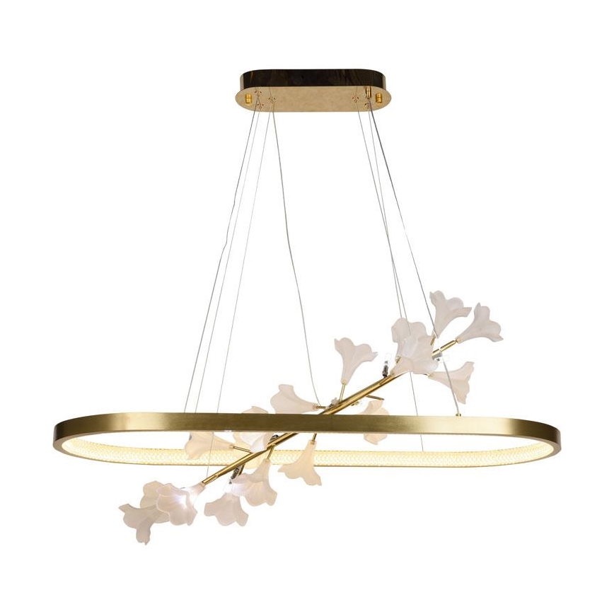 Lampadario dimmerabile a LED su cavo LED/65W/230V 3000-6500K + telecomando