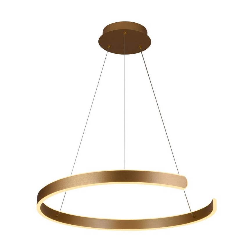 Lampadario LED Dimmerabile su cavo LED/70W/230V 3000-6500K + telecomando