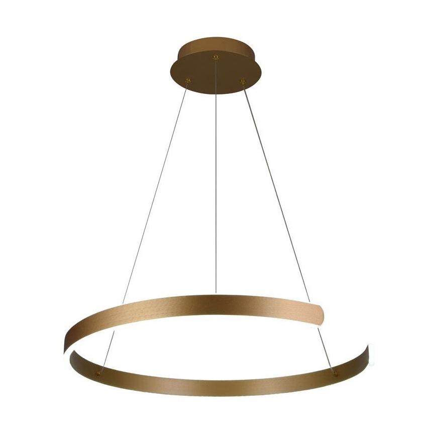 Lampadario LED Dimmerabile su cavo LED/70W/230V 3000-6500K + telecomando