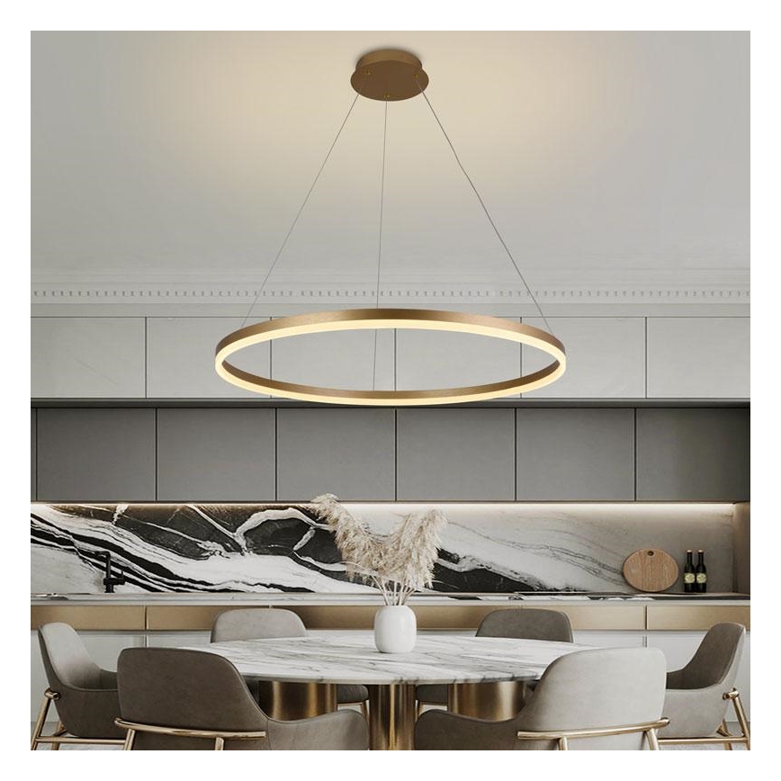 Lampadario LED Dimmerabile su filo LED/55W/230V 3000-6500K + telecomando