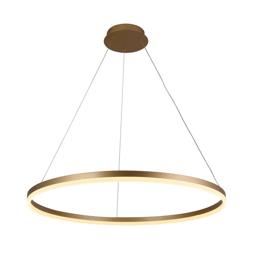 Lampadario LED Dimmerabile su filo LED/55W/230V 3000-6500K + telecomando
