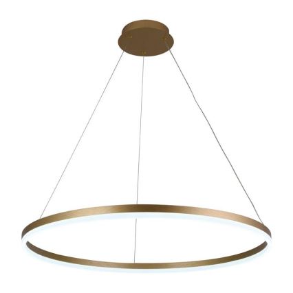 Lampadario LED Dimmerabile su filo LED/55W/230V 3000-6500K + telecomando