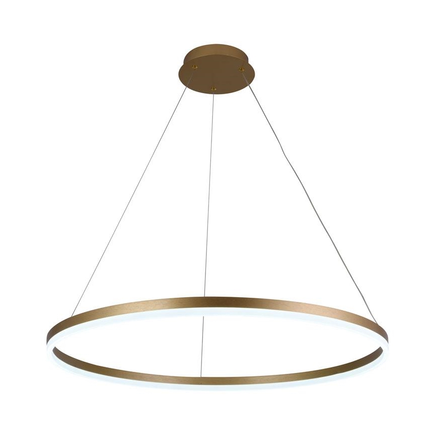 Lampadario LED Dimmerabile su filo LED/55W/230V 3000-6500K + telecomando
