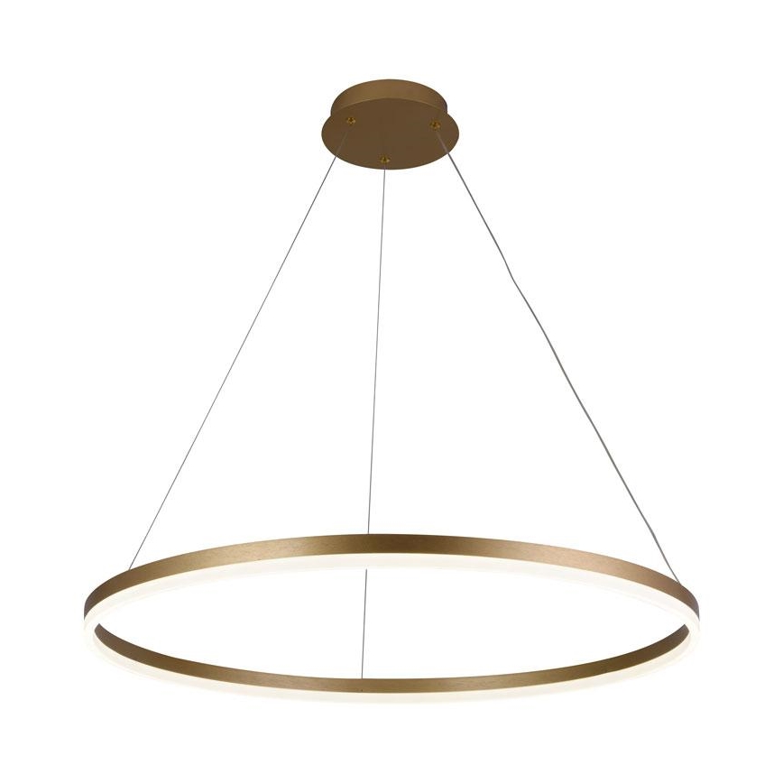 Lampadario LED Dimmerabile su filo LED/55W/230V 3000-6500K + telecomando