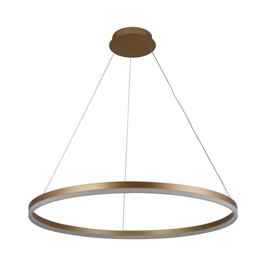 Lampadario LED Dimmerabile su filo LED/55W/230V 3000-6500K + telecomando