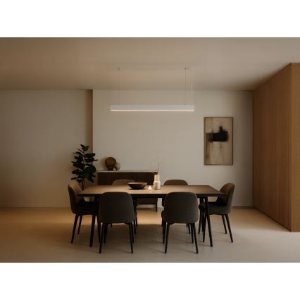 Lampadario LED sospeso a cavo, 55W, 230V, 3000/4000/6500K, 120 cm, bianco