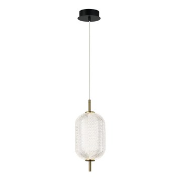 Lampadario LED sospeso a cavo PELLUCID LED/11W/230V oro/trasparente