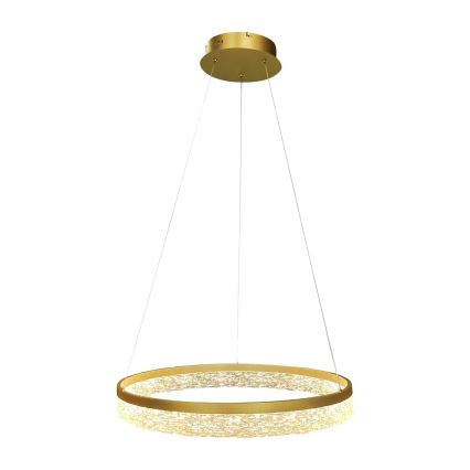 Lampadario LED sospeso con cavo GALA LED/25W/230V Ø 50 cm oro