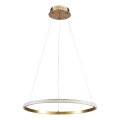Lampadario LED sospeso su cavo DIANA LED/25W/230V 4000K Ø 50 cm dorato