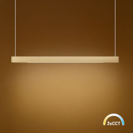 Lampadario LED sospeso su cavo LINEA 36W/230V 3000/4000/5700K CRI 90, dorato