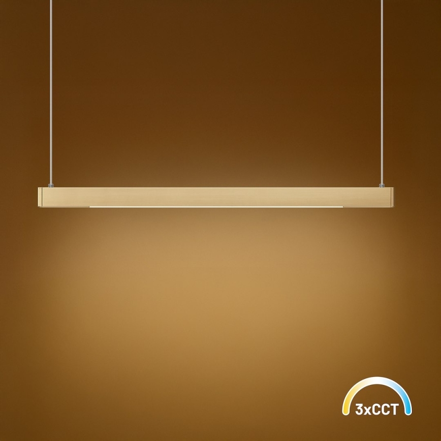Lampadario LED sospeso su cavo LINEA 36W/230V 3000/4000/5700K CRI 90, dorato