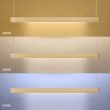 Lampadario LED sospeso su cavo LINEA 36W/230V 3000/4000/5700K CRI 90, dorato