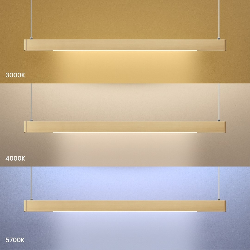 Lampadario LED sospeso su cavo LINEA 36W/230V 3000/4000/5700K CRI 90, dorato